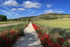 The Highest Hidden Tax of All