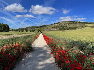 Measuring the First Wealth