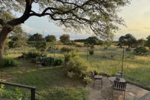 The Pudding Report, 2025: Couch Potato Retirees, Better Off Than Ever