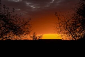 Things That Never Change